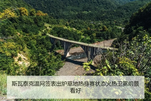 si-wa-tai-ke-wen-wang-qian-biao-chu-lu-cao-di-re-shen-sai-zhuang-tai-huo-re-wei-mian-qian-jing-kan-hao-2-569.jpg