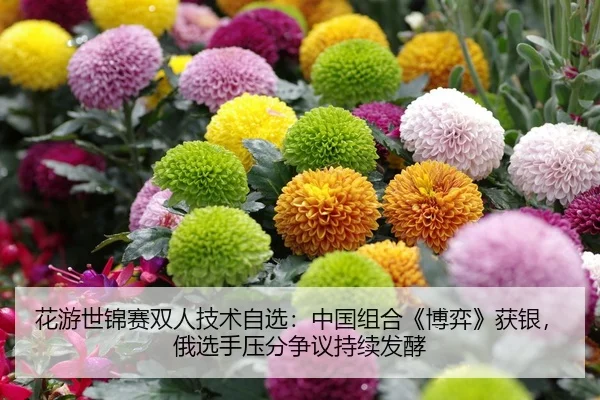 花游世锦赛双人技术自选：中国组合《博弈》获银，俄选手压分争议持续发酵